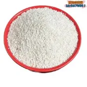 【品質驗證】批發菲律賓砂寄居蟹爬寵墊材魚缸造景裝飾專用底砂原生免洗貝殼沙