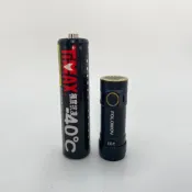 (店+)【FOLOMOV】EDC C2 525流明 77米 隨身迷你手電筒 24g輕量化EDC 防水防摔 救難