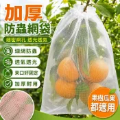🔥果樹防蟲網 蔬菜大棚防蟲罩 PE束口拉鍊防蟲網 水果花園綠植保護罩 農用果樹防鳥防蟲紗網 通風透氣耐用款式 園藝防護