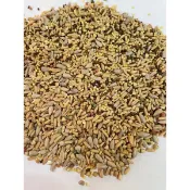 【大自然鴿鳥園】綜合營養粟｜鸚鵡無殼飼料 細多 粟 起米 虎皮 玄鳳 中小型鸚鵡 鸚鵡飼料