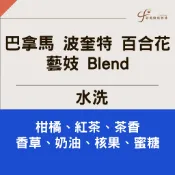 巴拿馬 波奎特 百合花 藝妓 Blend 水洗【一磅】【彩鳳鮮焙咖啡】