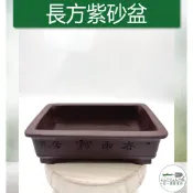 【滿額免運】長方形 紫砂盆 中國風 紫砂花盆 透氣蘭花盆 紫砂花盆 羅漢松花盆 紫砂盆景盆 透氣 古典 綜一園藝