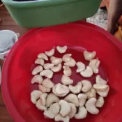 官田菱角當季現採，帶殼菱角硬的與剝好的（菱角仁產季開始了，喜歡菱角的朋友請快來選購喔，需要大量可聊聊