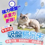 【台灣出貨】熱賣 貓吊床 吸盤貓吊床 吸盤式吊床 貓咪吊床 玻璃貓牆 貓跳台 免打孔貓爬架 吸