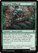 Moldgraf Millipede / 苔墓千足蟲【INR C】