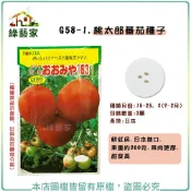 【綠藝家】G58-1.桃太郎番茄種子3顆(果肉肥厚 甜度高 蔬菜種子 果菜種子 大番茄.番茄 水果種子 番茄)