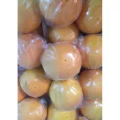 紅肉葡萄柚一箱30台斤（一個運費只能買一件