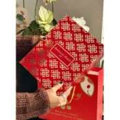 現貨【水果禮盒】 中國結水果禮盒 中國紅新年包裝盒 春節禮物/乾果/年貨通用盒