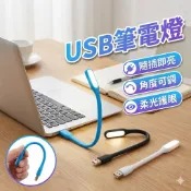 USB燈 筆電燈 睡眠燈 胎王