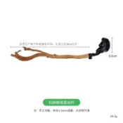 鸚鵡吸盤站杆車載站杆吸盤杜鵑根站棒外出便攜站架帶吸盤鸚鵡玩具
