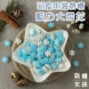 🔥台灣現貨🔥藍白 大雪花／可食用裝飾糖 雪花 雪片 藍白 聖誕節 冬日 聖誕裝飾 蛋糕裝飾 甜點裝飾