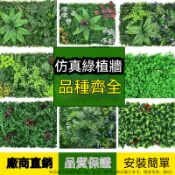 仿真植物牆 綠植牆 人造植栽背景牆 草坪牆麵 客製化花牆 假草拍照背景牆 仿真綠植牆 假花草皮墻 人造草坪 假草 植生牆