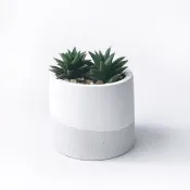 (現貨) 白灰漸層系列 | 黑舌 五重塔 圓形漸層水泥多肉植栽