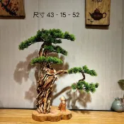 協貿國際日用品生活9館 棗木墩子原木樹樁實木樹墩根雕茶幾凳子茶凳圓凳花架藝術奇石底座