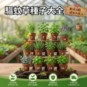 【現貨🌿驅蚊草種子】隔日達 羅勒 迷迭香 艾草 薄荷 香茅 豬籠草 陽台盆栽 易種好活 高發芽率 四季可播 夏季驅蟲香草
