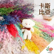 蝦皮超便宜只要34元!! 乾燥卡斯比亞 卡斯 極度花燥 花材 配花 永生花 乾燥花 不凋花 母親 母親節 2026 馬年