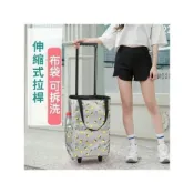 (店+)購物車 菜籃車 手拉車 買菜車 折疊手拉車 行李車 行李箱 手提購物袋老人家用可伸縮拉桿推車便攜式小拉車拖車