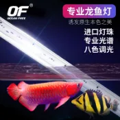 實體店面，現貨出清 WL105太陽黃燈 WL110增艷紅龍 5尺 仟湖OF 神奇美光燈 紅龍 金龍水中燈