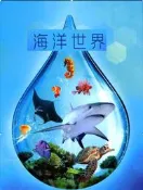 【小新桌遊】方舟ZOO動物園 海洋世界擴展 Ark Nova 簡體中文熱門德式經營桌游