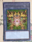 [sw9124賣場] INFO-JPT01 幻之召喚神艾克索迪亞（TOKEN/代幣）
