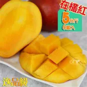 風之果 枋山逸品級40年老欉愛文芒果禮盒5台斤(6-7顆)500-425g