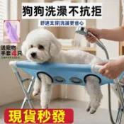 【花仙兒】寵物洗澡神器 貓咪狗狗洗澡固定架 防跑防抓中小型犬貓吹毛剪毛折疊支架 寵物美容架子 不鏽鋼摺叠款剪指甲吊床