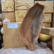 現貨隔日到 台灣造型聚寶盆 31.5公分高 獨家可站立 桃花心木 硬木 芳山店