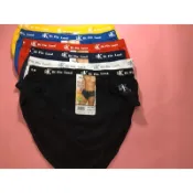 88517一王美男內褲