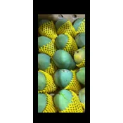 黑香芒果（烏香芒果）一箱十台斤