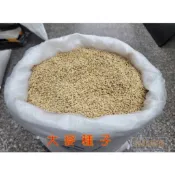 【寵物專用、無藥劑處理】小麥草、苜蓿草、燕麥草、大麥草、黑麥草、貓薄荷貓草種子 寵物牧草種子 富美農場 新鮮!自然!