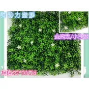 台灣出貨含稅富貴草 尤加利葉 七里香 金錢草 黃金小楓葉 仿真草皮 塑膠草皮 組合人工草 塑膠草皮 人工草皮 牆面草現貨