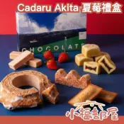 小福部屋 日本 Cadaru Akita 夏莓甜點禮盒 秋田特產 費南雪 年輪蛋糕 草莓 伴手禮 日系禮盒 糕點禮盒 紅茶 送禮推薦