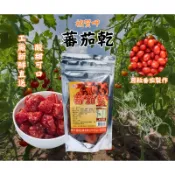 公司直營 140g 蕃茄乾 蕃茄 番茄 番茄乾 蜜餞 果乾 禎賀呷 穎禎企業有限公司