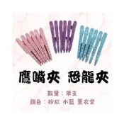 (店+)髮夾  （買五送一）夾子 鷹嘴夾  恐龍夾 瀏海夾 單隻