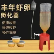 豐年蝦孵化器 孵化瓶 可孵化豐年蝦卵熱帶魚活餌活體飼料自動孵化