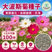 綠島花坊|大波斯菊種子【花海種子】混合色 新社花海同款 1公斤裝 休耕綠肥 景觀美化 增加土壤肥力 新鮮種子 高發芽率 