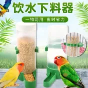 【自動補水】鳥用掛式飲水器 鸚鵡喝水器 自動水壺 餵食料器 蘆丁雞適用 鳥食食盒 寵物水瓶