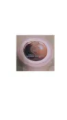 ◎釉臻館◎  The Body Shop美體小舖 乳油木果修護身體滋養霜50ml