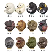 『現貨』【三隻貓貓咪】㊣版 圓滾滾動物 扭蛋 公仔 手辦 轉蛋 動物 恐龍 企鵝 大象 獅子 海豹 河馬