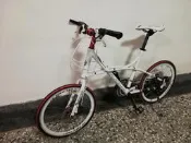 愛爾蘭Irland 經典海豚車 30速碟剎 走內線鋁合金451輪組小徑車 碟煞C煞V煞皆可（可單售車架）-8