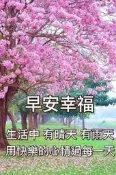 風鈴木&粉紅&苗：120元(1～3棵)