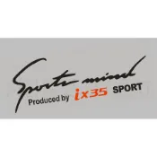 【湘阪車飾】 現代 Hyundai ix35 燈眉貼 大燈貼 引擎蓋貼 Tucson SantaFe Verna i30