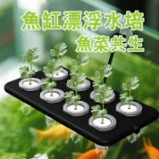 魚缸漂浮水培 定植籃 漂浮壁掛吸盤式 魚菜共養 魚菜共生 水培種菜