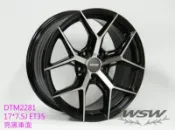 WSW 鋁圈 2281-17吋 7.5J 5/100/108/114.3/112 ET35/38 亮黑車面