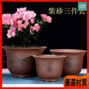 紫砂花盆 大口徑 蘭花盆 陶瓷花盆 盆景盆 粗陶盆 透氣 多肉植物 盆栽 陽臺 客廳 裝飾 羅漢松 仙人掌 盆器 花器