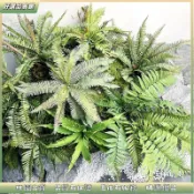 🔥桃園出貨🔥 蕨類植物仿真蕨葉鹿角蕨波士頓蕨腎蕨假蕨類高品質蕨類造景裝飾花園裝飾攝影佈置