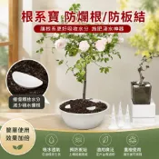 🐎24 錐形澆水器 施肥器 玉肥盒肥料盒 花盆植物防爛根神器 不悶根園林滴灌