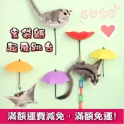 【活力伸展】蜜袋鼯跳台玩具 ❤️ 雨傘/攀爬/滑行訓練台 小飛鼠用品 滑翔訓練用品 互動玩具 訓練跳台 雨傘跳台
