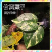 ★爬蟲新樂園★[台灣現貨]仿真葉子 樹棲爬蟲造景 變色龍 樹棲守宮 蜥蜴 雨林 造景