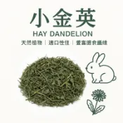 ※兔老爺※小金英 兔兒草 兔子最愛 兔子/倉鼠/天竺鼠/龍貓 牧草 兔點心 兔零食 保健 鵝仔菜 小本蒲公英 小動物點心